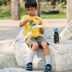 Klean Kanteen Insulated Kid Classic (355ml) - Sugarplum Fairy -Outdoor Products Sales K12KVCPPS PD boys waterbottle airplane raphics lifestyle be606da5 d937 4755 b3e5 0e40e66e714d