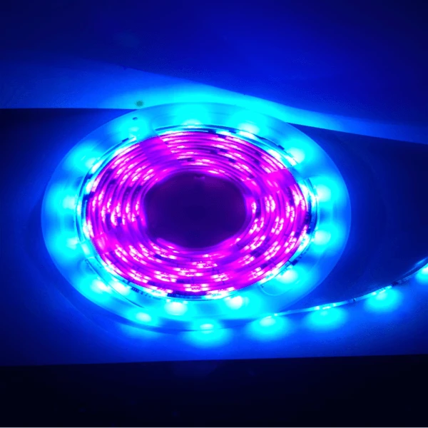 5M Flag Pole Pre-Set Digital Led Dream Lights Strip 5 5M Flag Pole Pre-Set Digital Led Dream Lights Strip - Image 5